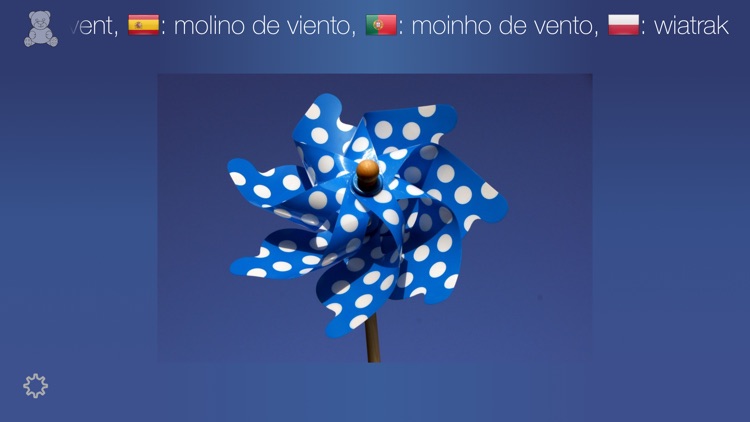 First Words - A Picture Book