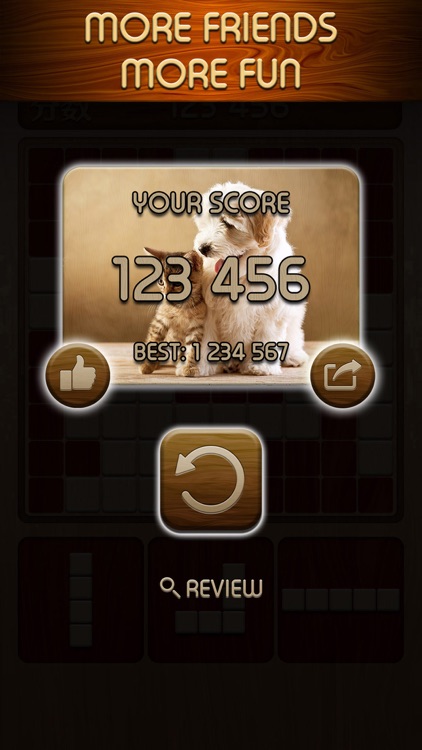 Woody Block Puzzle Brain Game screenshot-4