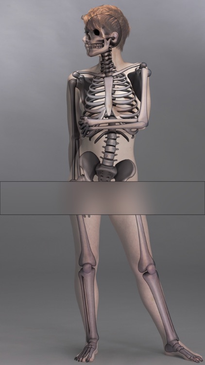 Life Drawing screenshot-5