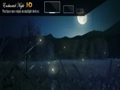 Enchanted Night HD iPad image 2