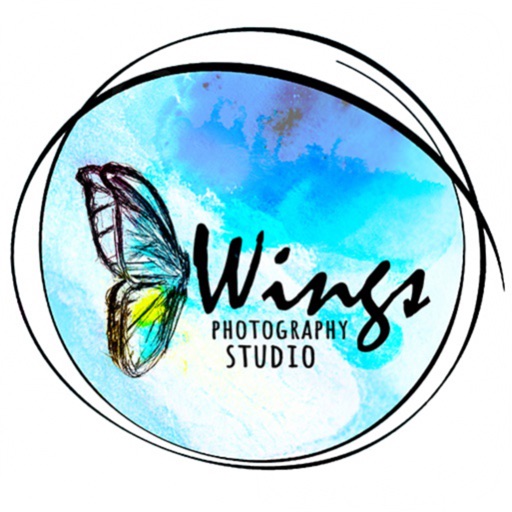 Wings photography icon