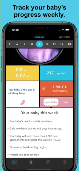 Game screenshot See Baby Pregnancy Guide hack