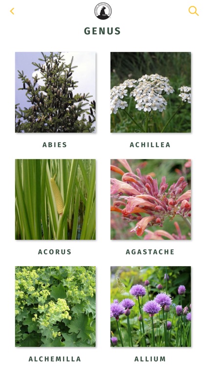 NWF Guide to Herbs