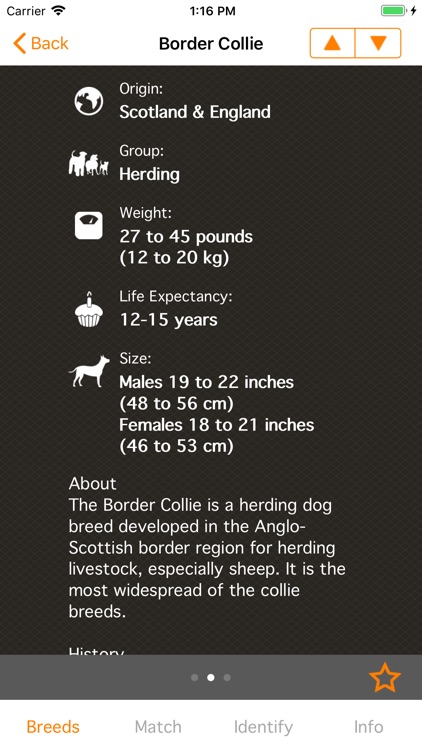 Perfect Dog X - All The Breeds screenshot-3