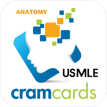 USMLE Anatomy Cram Cards Читы
