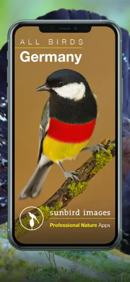 Game screenshot All Birds Germany mod apk