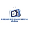 Enseignement en ligne Emploi