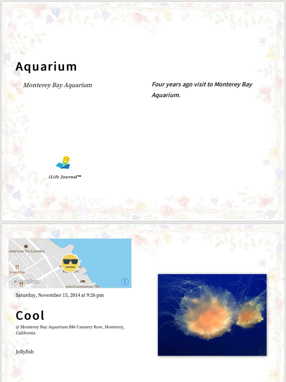 My e-Diary iPad screenshot 8 - Lifestyle app