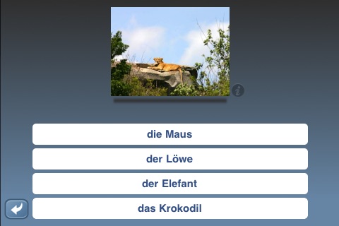 NounStar German screenshot 2