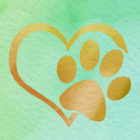 What animal are you Test