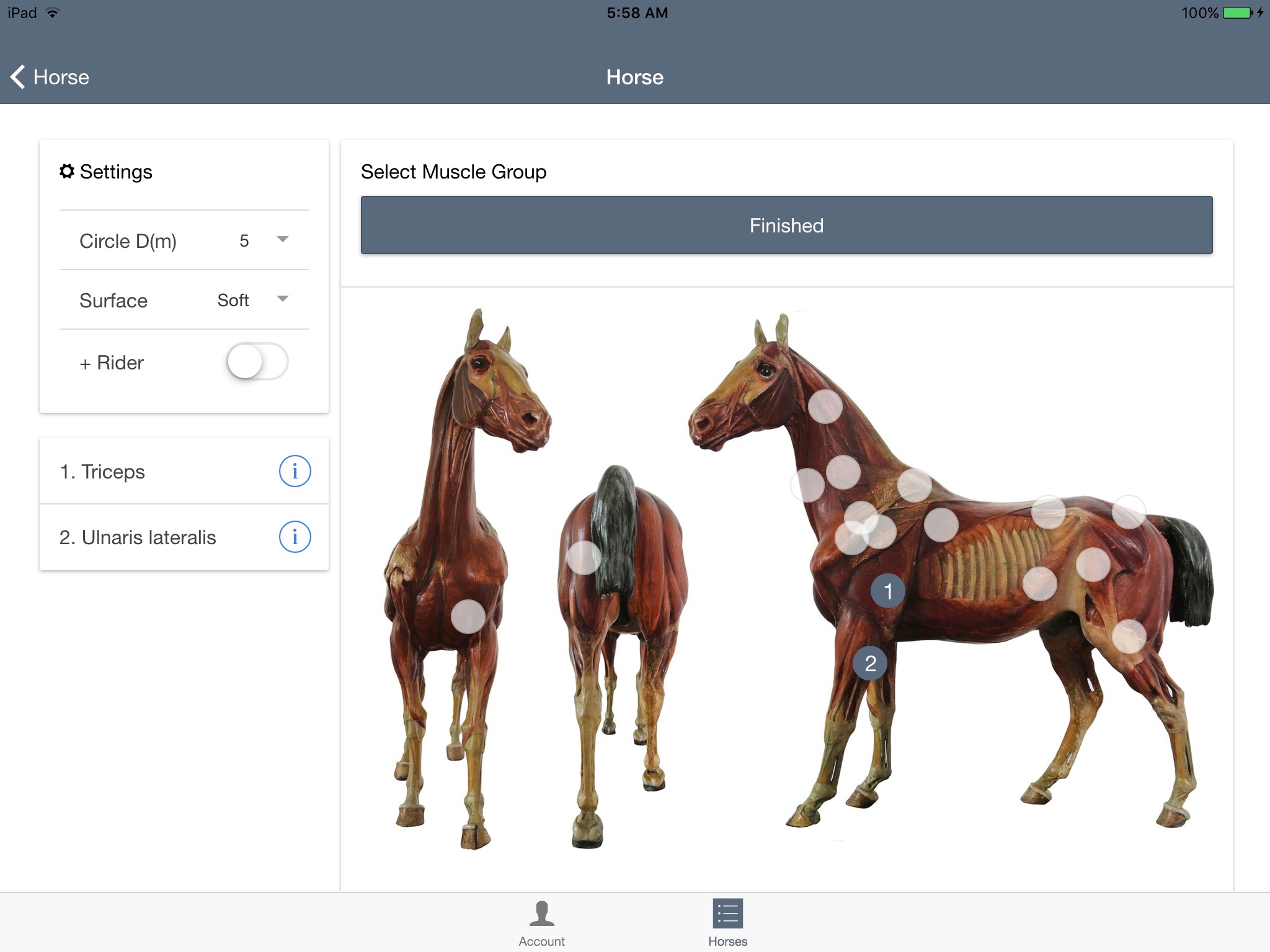 CURO Equine screenshot 3