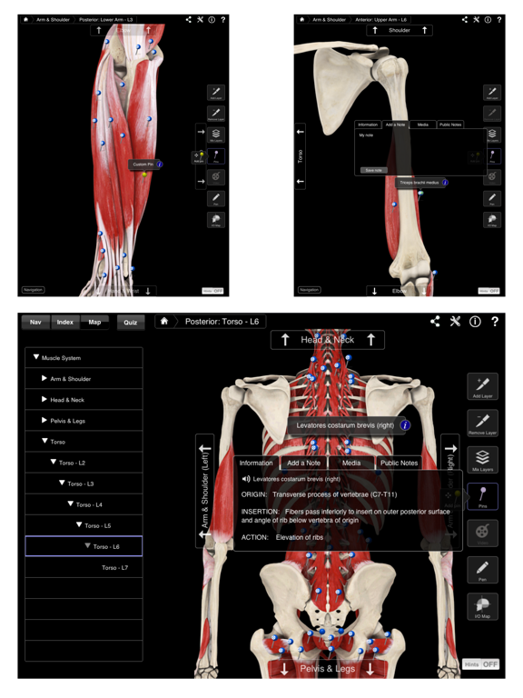 Muscle System Pro IIIのおすすめ画像5