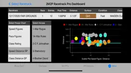 Game screenshot 2M2P Racetrack Pro mod apk