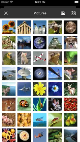 Picture Tile Slider Pro screenshot 5