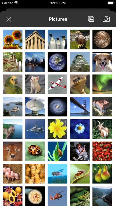 Picture Tile Slider Pro Screenshot