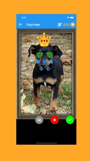 Whats Dog(圖1)-速報App