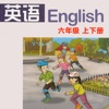 湘鲁版湖南山东小学英语学习机8册套装组合 -三起点课本同步有声复读教材，三四五六年级上下册学霸必备神器