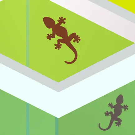 Terrarium Vitae Читы