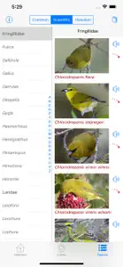 Bird ID Hawaii screenshot #9 for iPhone