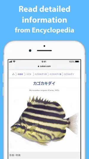 Mikke Fish ID screenshot 3