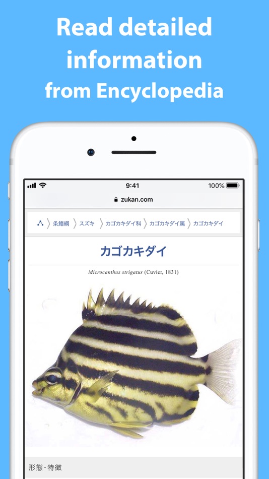#3. Mikke Fish ID (iOS) 由: zukan.com
