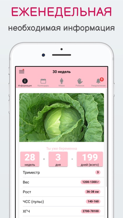 Беременность по неделям KLO screenshot-0
