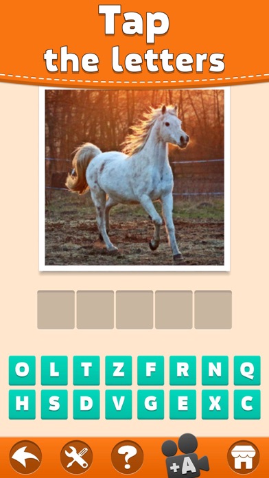 Animals Quiz screenshot 3