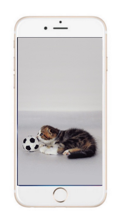 Animals LockScreen Lovers