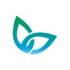 Insight Software Phone App Insight Software Phone App