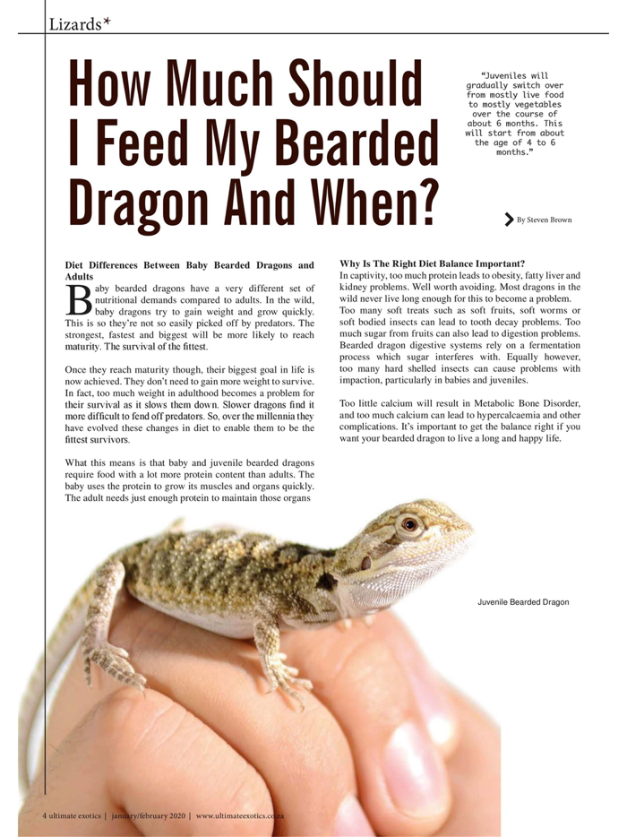 Ultimate Exotics Magazine