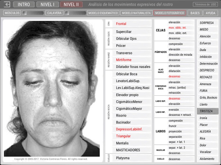 ARTNATOMYA (en español) screenshot-4