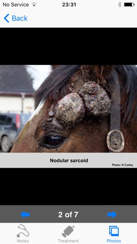 Equine Dermatologyのおすすめ画像1