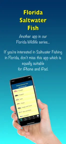 Game screenshot Florida Saltwater Fish mod apk