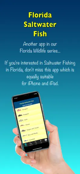 Game screenshot Florida Saltwater Fish mod apk
