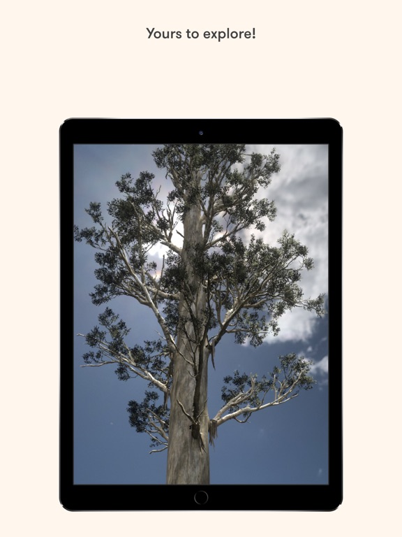 Screenshot #6 pour Arve Big Tree