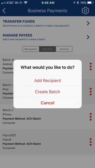 County Bank BIZ Screenshot