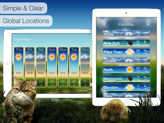 Beautiful Weather iPad app afbeelding 3
