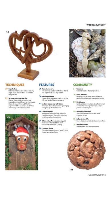 Woodcarving Magazine screenshot1