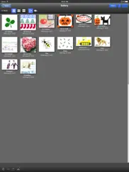 stitchsketch айпад изображения 2