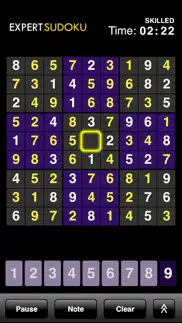expert sudoku problems & solutions and troubleshooting guide - 2