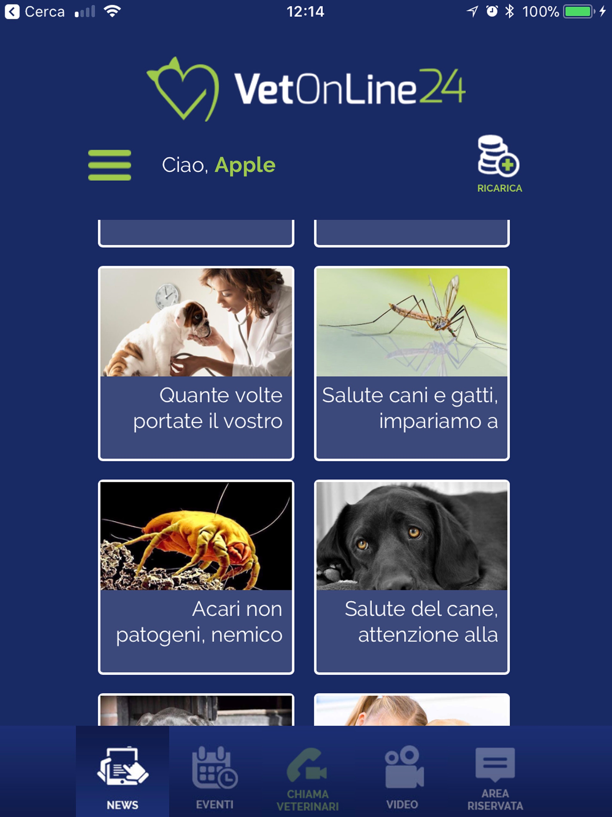 VetOnline24 Veterinari online
