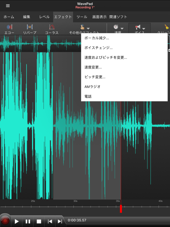 WavePadマスター版 2022 iPad screenshot