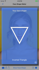Face Shape Meter camera tool screenshot