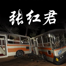 孙美琪疑案:张红君(中国版)