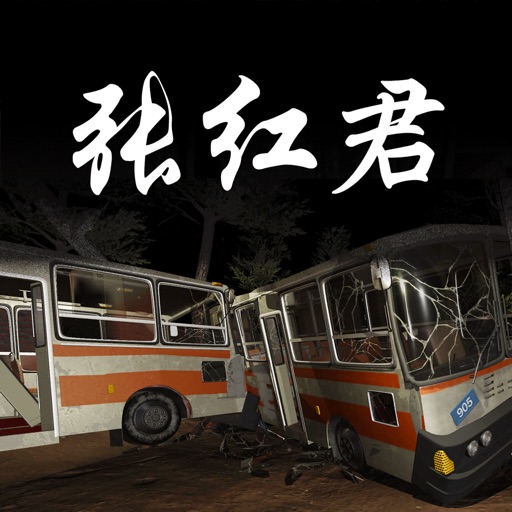 孙美琪疑案:张红君(中国版)