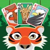 Icon Wild Solitaire - Klondike