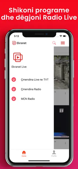 Game screenshot Ekranet: platforma per video apk