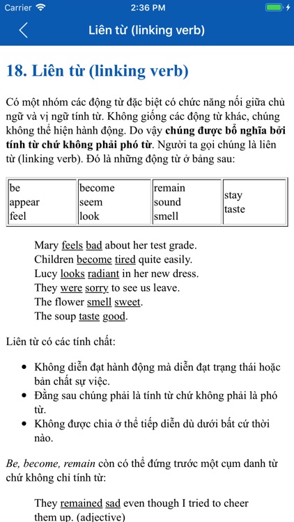 English Grammar TFlat screenshot-4