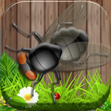 A Smash ANT Squashed -Cool Читы
