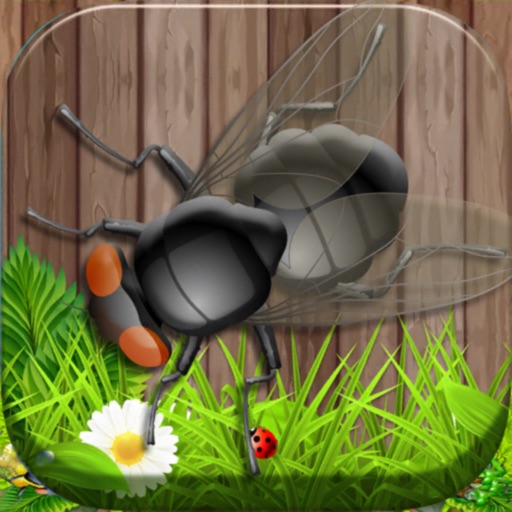 A Smash ANT Squashed -Cool iOS App